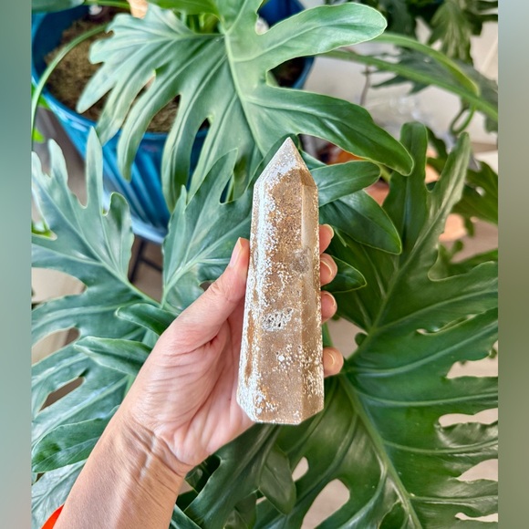 Ocean Jasper Tower - Picture 3 of 7